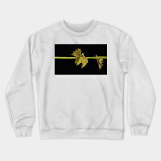 Vine Leaf on black background by Avril Thomas Crewneck Sweatshirt